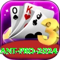 basant Pro 2024